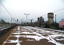 min 300 5.jpg min 300 5.jpg